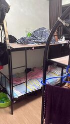Blk 639 Tampines Greenvines (Tampines), HDB 4 Rooms #450295571